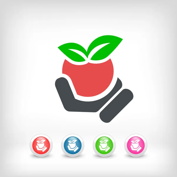 Icono de tomate — Vector de stock