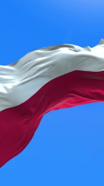 Polonya bayrağı - 3D gerçekçi bayrak sallama arkaplanı