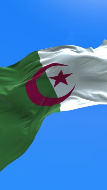 Algeria Bandiera Realistico Sventolando Bandiera Sfondo — Video Stock
