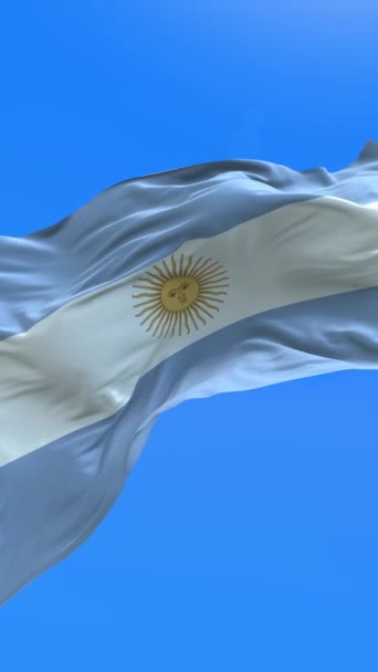 Флаг Аргентины Реалистичное Размахивание Флагом Фон — стоковое видео