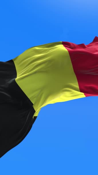 Belçika Bayrağı Gerçekçi Bayrak Sallama Arkaplanı — Stok video