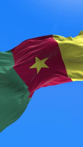 Cameroon Flag Realistic Waving Flag Background — Stock Video