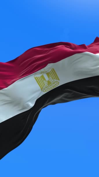 Flaga Egiptu Realistyczne Tło Flagi — Wideo stockowe