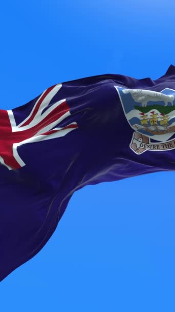 Drapeau Des Îles Falkland Réaliste Agitant Drapeau Arrière Plan — Video