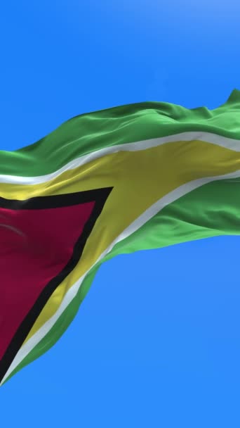 Guyana Flagga Realistisk Viftande Flagga Bakgrund — Stockvideo