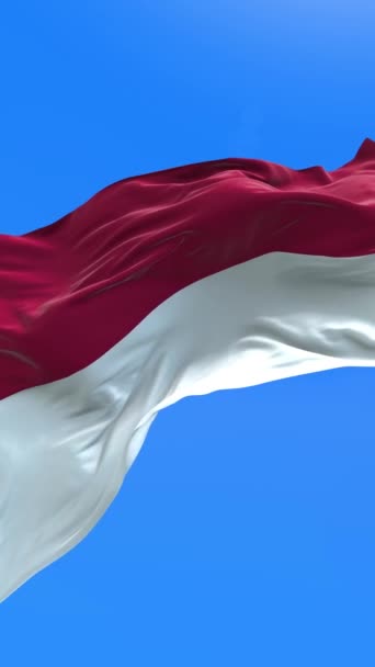 Bendera Indonesia Latar Belakang Gelombang Realistik — Stok Video