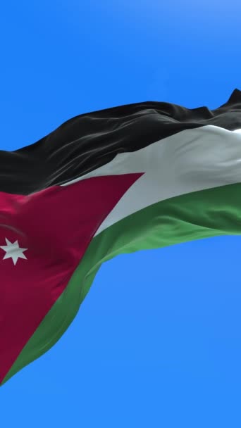 Jordan Flag Realistic Waving Flag Background — Stock Video