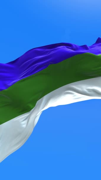 科米旗 三维现实的挥旗背景 — 图库视频影像