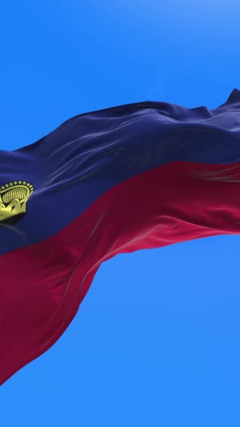 Bandera Liechtenstein Fondo Bandera Ondeante Realista — Vídeos de Stock