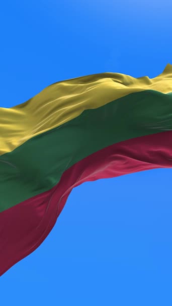 Litvanya Bayrağı Boyutlu Gerçekçi Bayrak Sallama Arkaplanı — Stok video