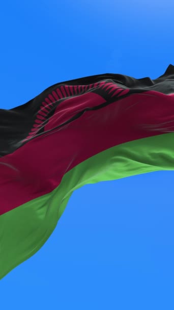 Malawi Bayrağı Gerçekçi Bayrak Sallama Arkaplanı — Stok video