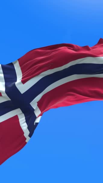 Norvegia Bandiera Realistico Sventolando Bandiera Sfondo — Video Stock