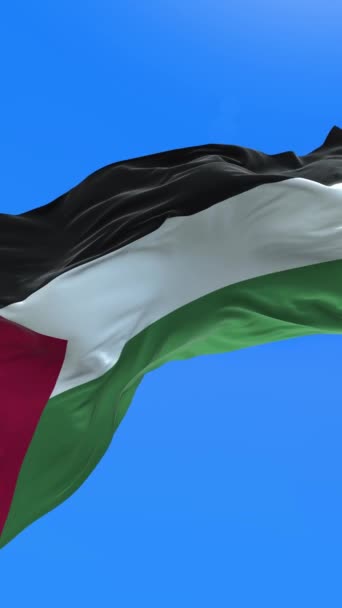 Palestine Flag Realistic Waving Flag Background — Stock Video