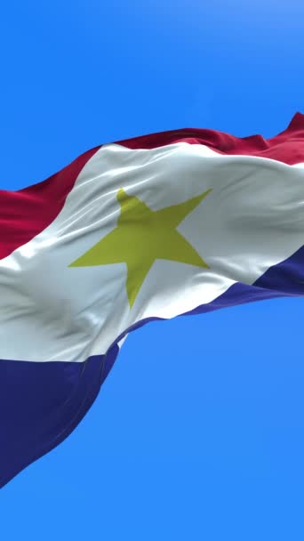 Saba Flag Realistic Waving Flag Background — Stock Video