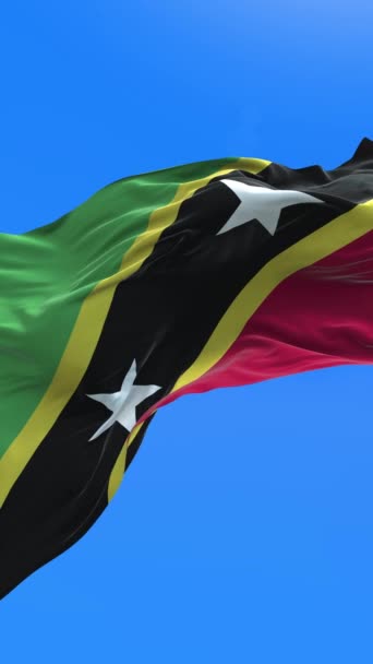 Saint Kitts Nevis Zászló Realisztikus Integető Zászló Háttér — Stock videók