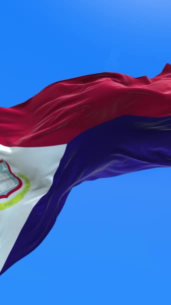 Bendera Saint Martin Latar Belakang Bendera Melambai Realistis — Stok Video