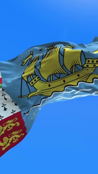 Saint Pierre Och Miquelon Flagga Realistisk Viftande Flagga Bakgrund — Stockvideo