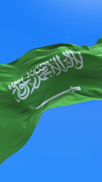 沙特阿拉伯国旗 3D现实挥动国旗背景 — 图库视频影像