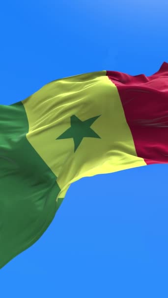 Σημαία Σενεγάλης Τρισδιάστατο Ρεαλιστικό Κυματιστό Φόντο Σημαίας — Αρχείο Βίντεο