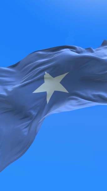 Bandera Somalia Fondo Bandera Ondeante Realista — Vídeos de Stock