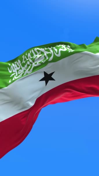 Somaliland Flag Realistic Waving Flag Background — 图库视频影像