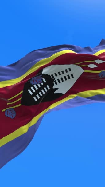 Swaziland Flag Realistic Waving Flag Background — Stock Video