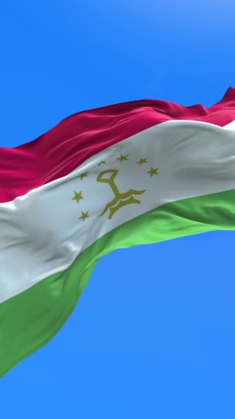 Флаг Таджикистана Реалистичный Фон Размахивания Флагом — стоковое видео