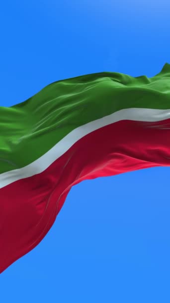Σημαία Ταταρστάν Ρεαλιστικό Κυματίζει Φόντο Σημαία — Αρχείο Βίντεο