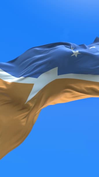Tierra Del Fuego Province Argentina Flagga Realistisk Viftande Flagga Bakgrund — Stockvideo