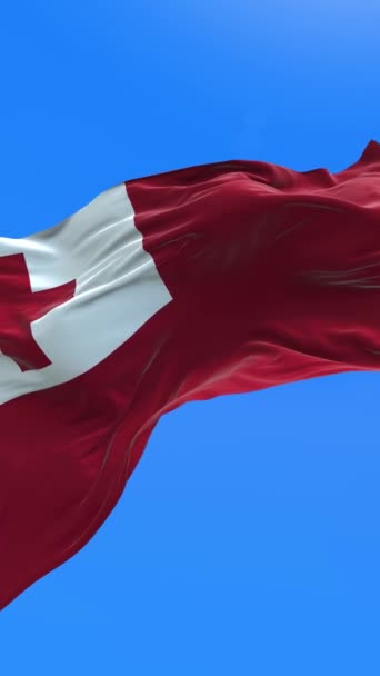 Bandera Tonga Fondo Bandera Ondeante Realista — Vídeo de stock