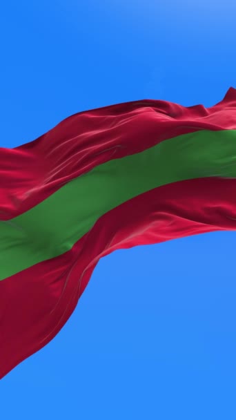 Bandera Transnistria Fondo Bandera Ondeante Realista — Vídeos de Stock