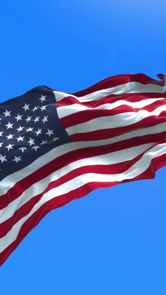 United States America Usa Flag Realistic Waving Flag Background Vertical — Vídeo de Stock