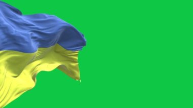 Ukraine waving flag on green background 4k. Left side. Ukrainian symobol of union, peace and freedom.