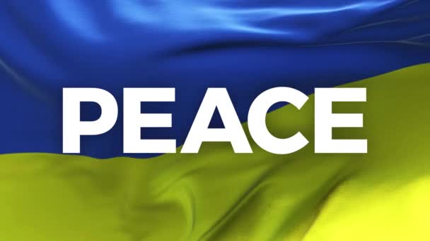 Peace Ukraine Ukrainian Russian Stop War Background — 비디오