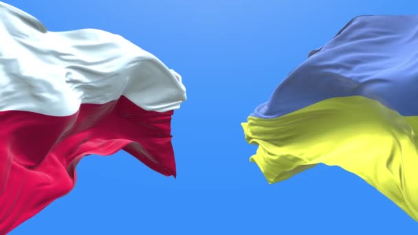 Ukraine Poland Waving Flag Ukrainian Symbol — Stock video