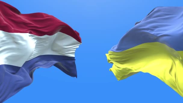 Ukraine Netherlands Waving Flag Ukrainian Symbol — Stok video