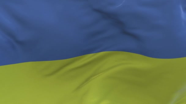 Ukraine Waving Flag Background Ukrainian Symobol Union Peace Freedom — 비디오