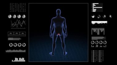 Man with anus pathology. 3d body of boy. Rotating animation and closeup of male human structure. 4k HUD footage.