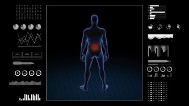 Bel patolojisi olan bir adam. Çocuğun üç boyutlu vücudu. Dönen animasyon ve erkek insan yapısına yakın çekim. 4k HUD görüntüsü.