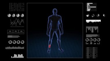 Ayak bileği patolojisi olan adam. Çocuğun üç boyutlu vücudu. Dönen animasyon ve erkek insan yapısına yakın çekim. 4k HUD görüntüsü.