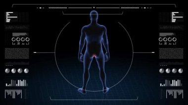 Man with anus pathology. 3d body of boy. Rotating animation and closeup of male human structure. 4k HUD footage.