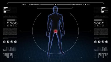 Cinsel patolojisi olan bir adam. Çocuğun üç boyutlu vücudu. Dönen animasyon ve erkek insan yapısına yakın çekim. 4k HUD görüntüsü.