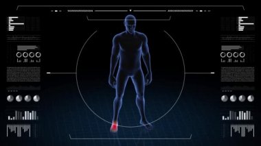 Ayak patolojisi olan bir adam. Çocuğun üç boyutlu vücudu. Dönen animasyon ve erkek insan yapısına yakın çekim. 4k HUD görüntüsü.