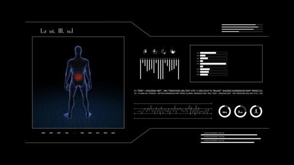 腰椎病理学的人3D身体的男孩 旋转动画和男性人体结构的特写 Hud镜头 — 图库视频影像