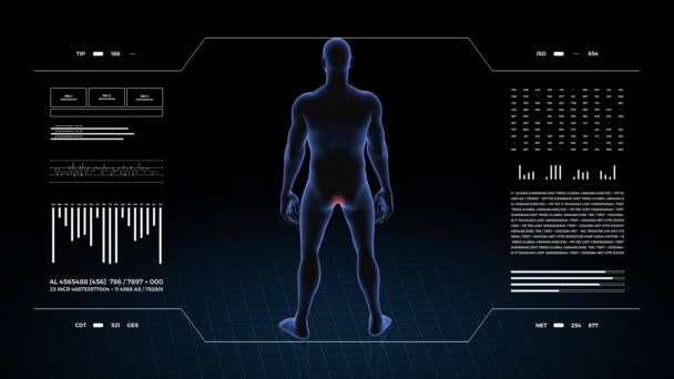 Hombre Con Patología Del Ano Cuerpo Niño Animación Rotatoria Primer — Vídeos de Stock