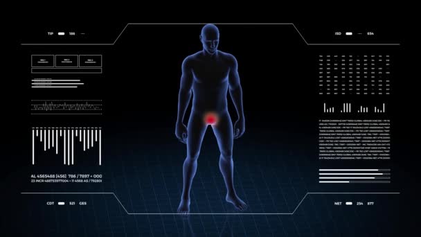 有生殖器病理学的人3D身体的男孩 旋转动画和男性人体结构的特写 Hud镜头 — 图库视频影像