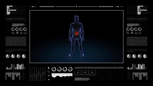 Man Lumbar Pathology Body Boy Rotating Animation Closeup Male Human — Stock Video