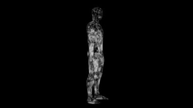 3d human body, futuristic medical scan with infographics animated data, diagnostic computer concept, medical research display 4K