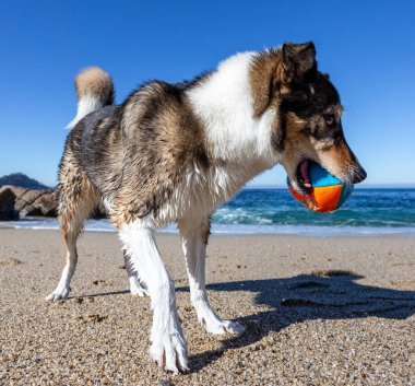 Kaliforniya 'nın dağları ve bulutları olan güzel manzarasına bakın.