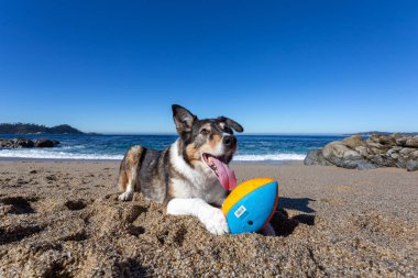 Kaliforniya 'nın dağları ve bulutları olan güzel manzarasına bakın.